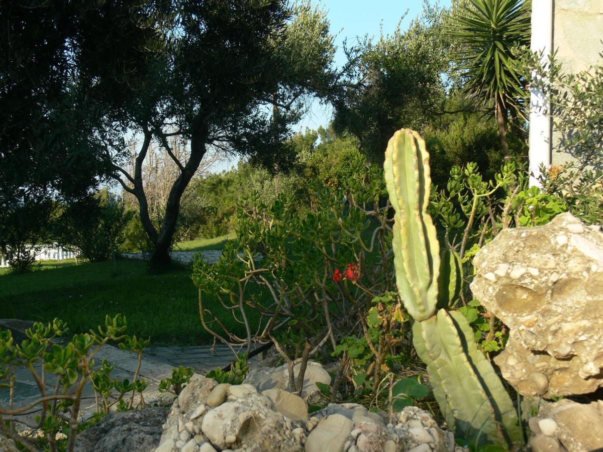 Villa Quietude Agios Stefanos Avliotes  Phòng bức ảnh